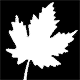 Logo Thumbnails