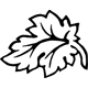 Logo Thumbnails